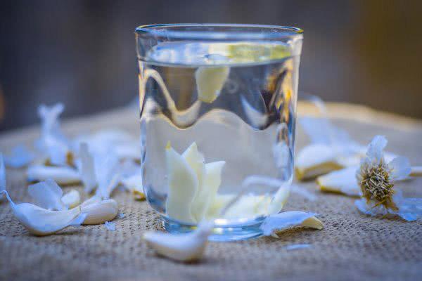 Benefícios de Beber Água com Alho
