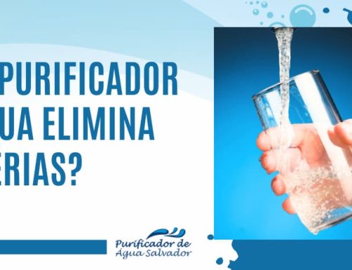 Qual purificador de água elimina bactérias?
